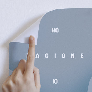 MANIFESTING HO RAGIONE IO