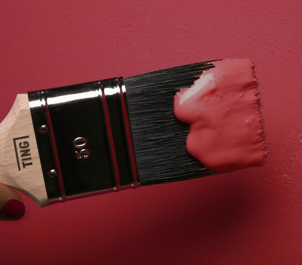 Vernice Rotta EVOE'! | vernice rossa per pareti interne – Tingpaint